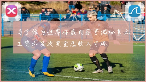 马宁作为世界杯裁判薪资揭秘基本工资加场次奖金总收入可观